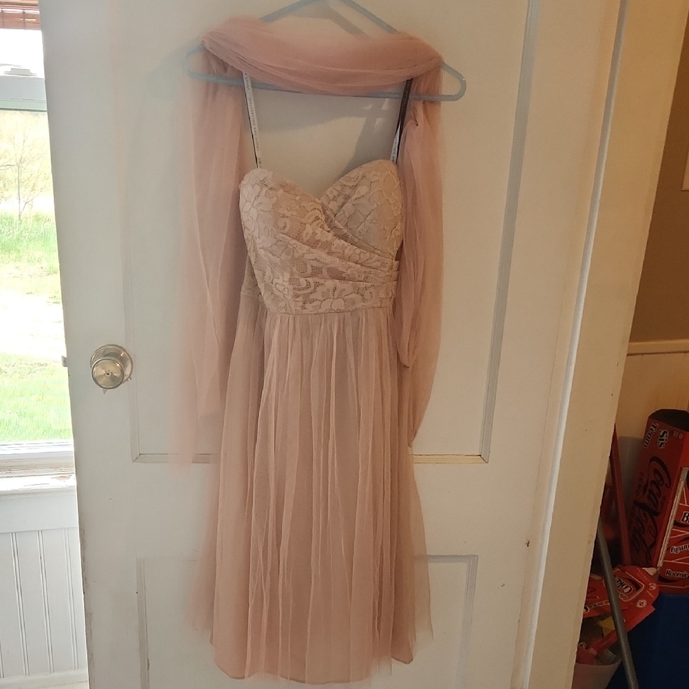 Jenny Yoo Collection Champagne Dress